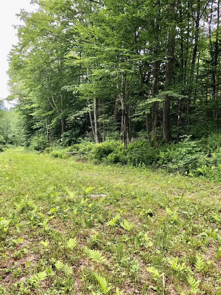 00 Route 100 Weston VT 05161