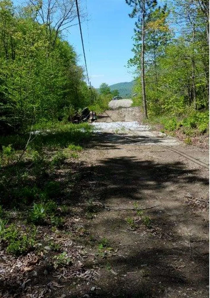 00 Route 100 Weston VT 05161