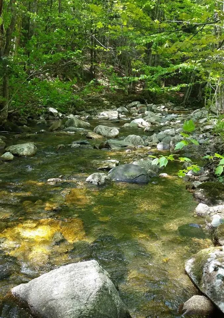 00 Route 100 Weston VT 05161