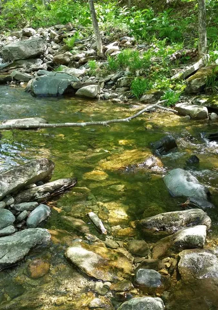 00 Route 100 Weston VT 05161