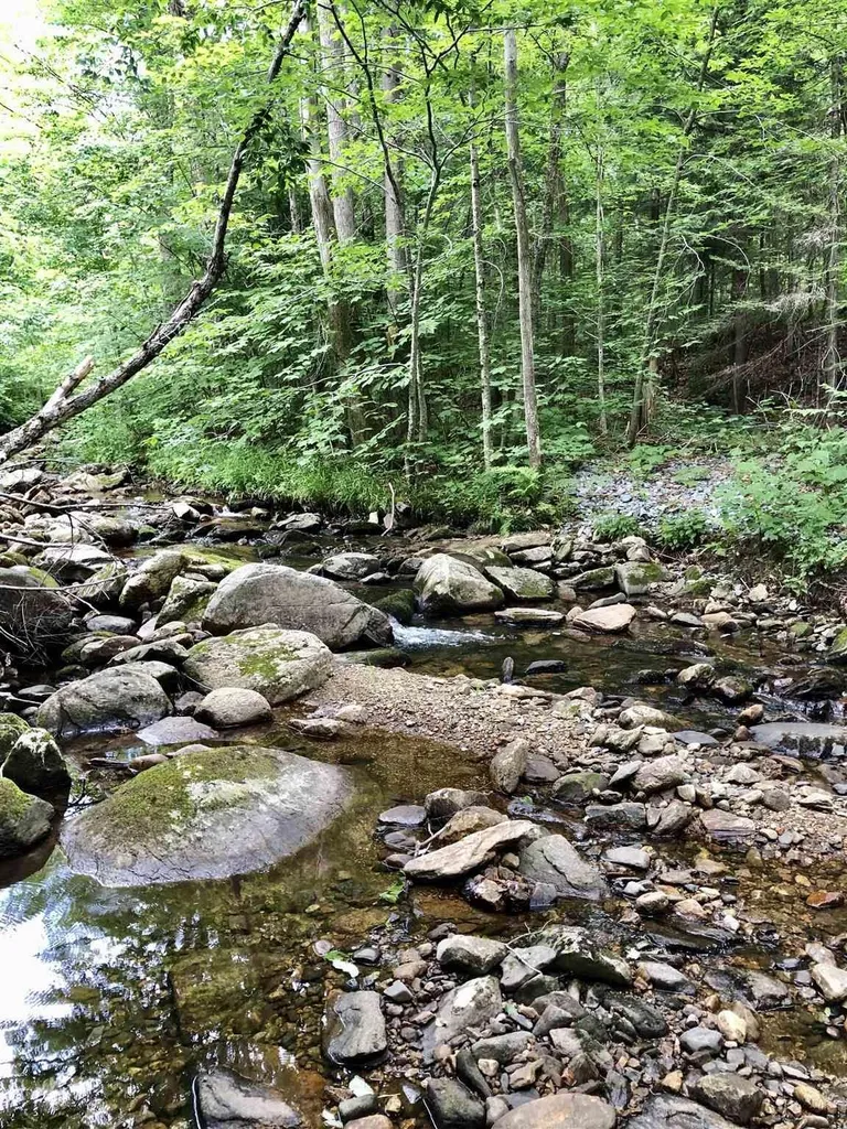 00 Route 100 Weston VT 05161