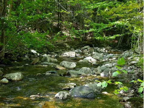 00 Route 100 Weston VT 05161