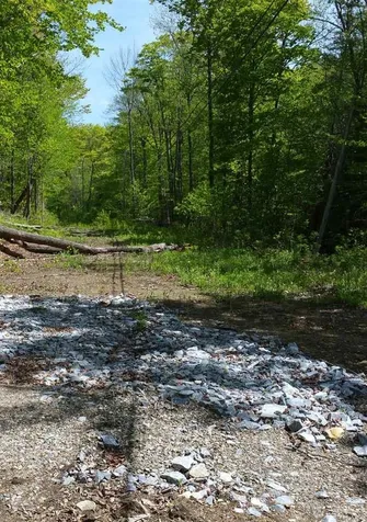 00 Route 100 Weston VT 05161