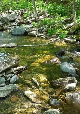 00 Route 100 Weston VT 05161