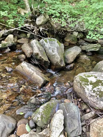 00 Route 100 Weston VT 05161