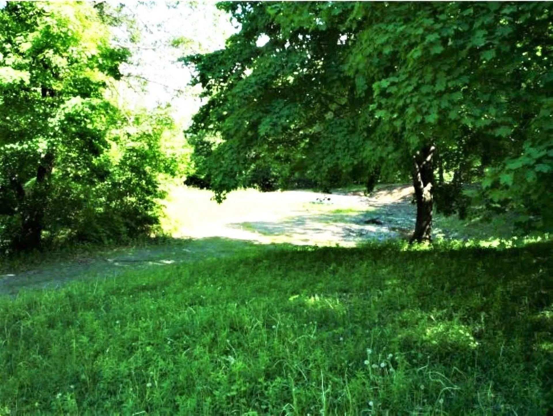 135 Stanley Road Springfield VT 05156