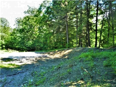 135 Stanley Road Springfield VT 05156