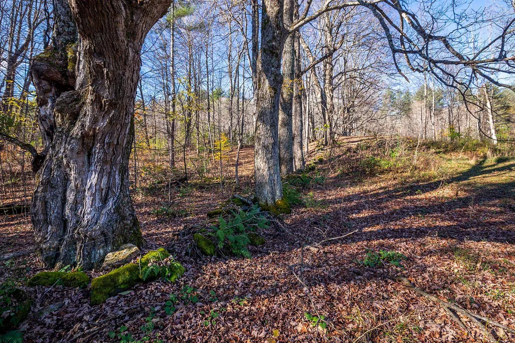 1193 Prosper Road Woodstock VT 05091