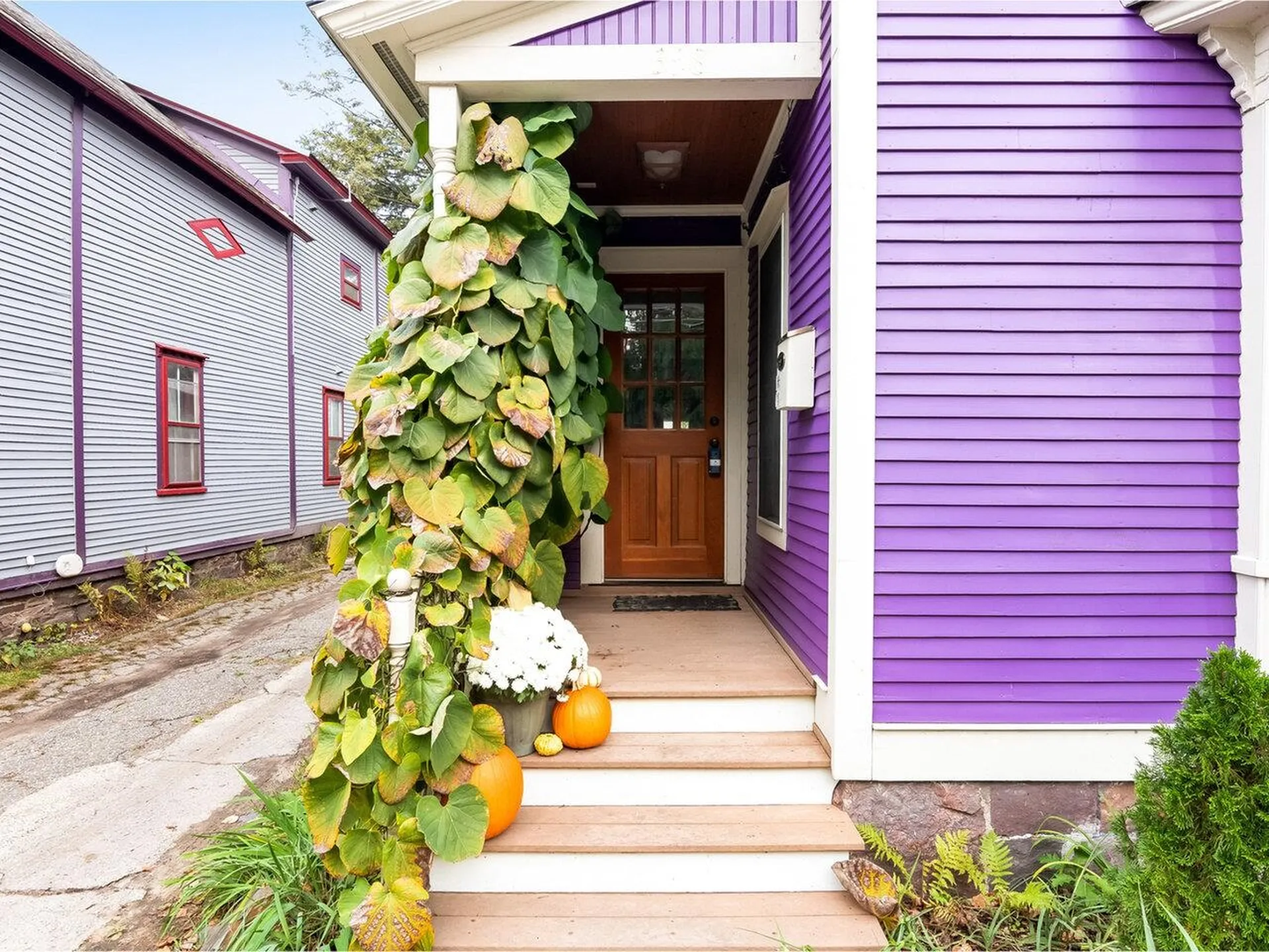 358 North Street Burlington VT 05401-2922