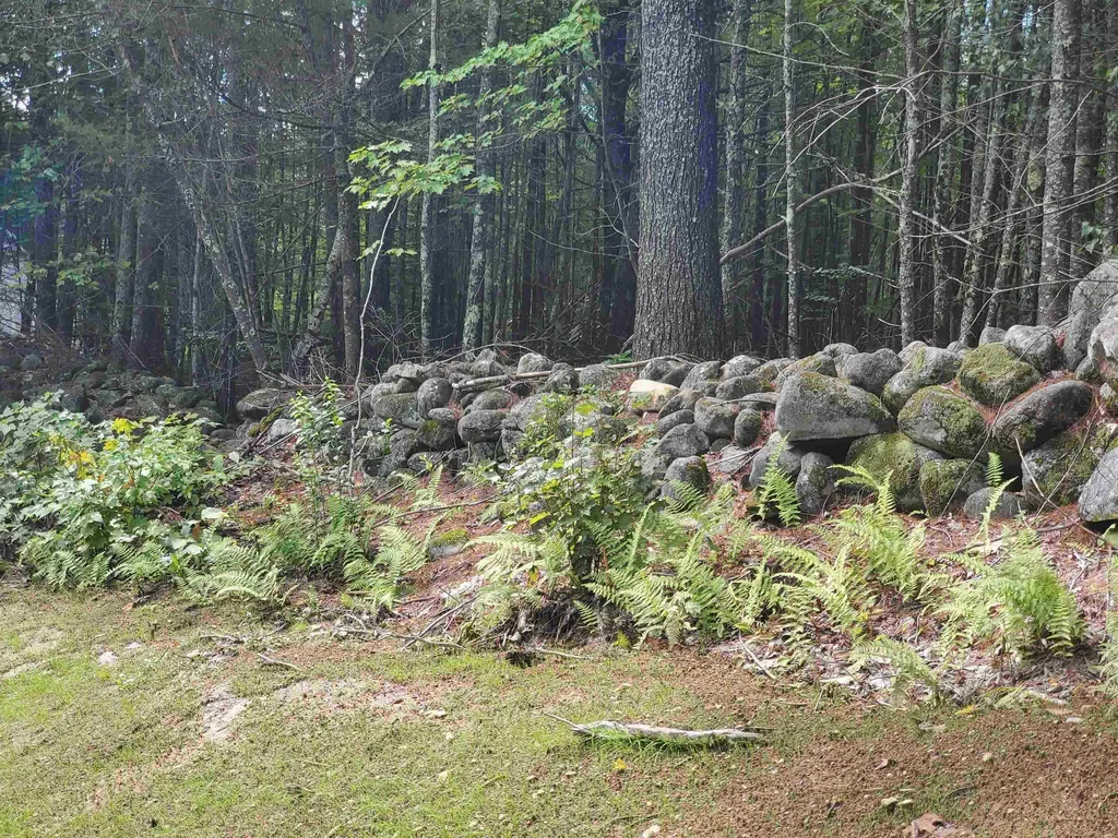 138 Deer Meadow Road Pittsfield NH 03263