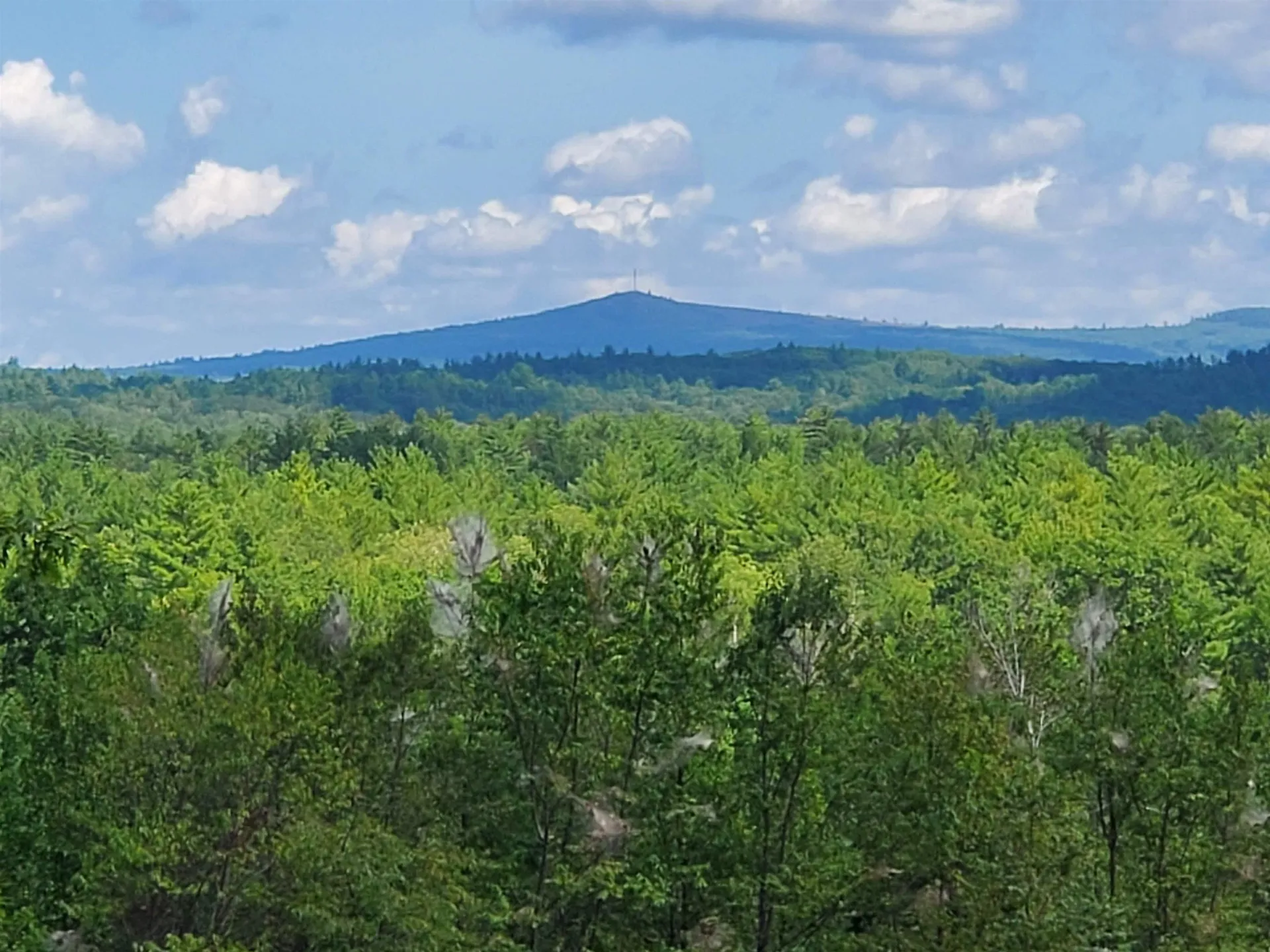 138 Deer Meadow Road Pittsfield NH 03263
