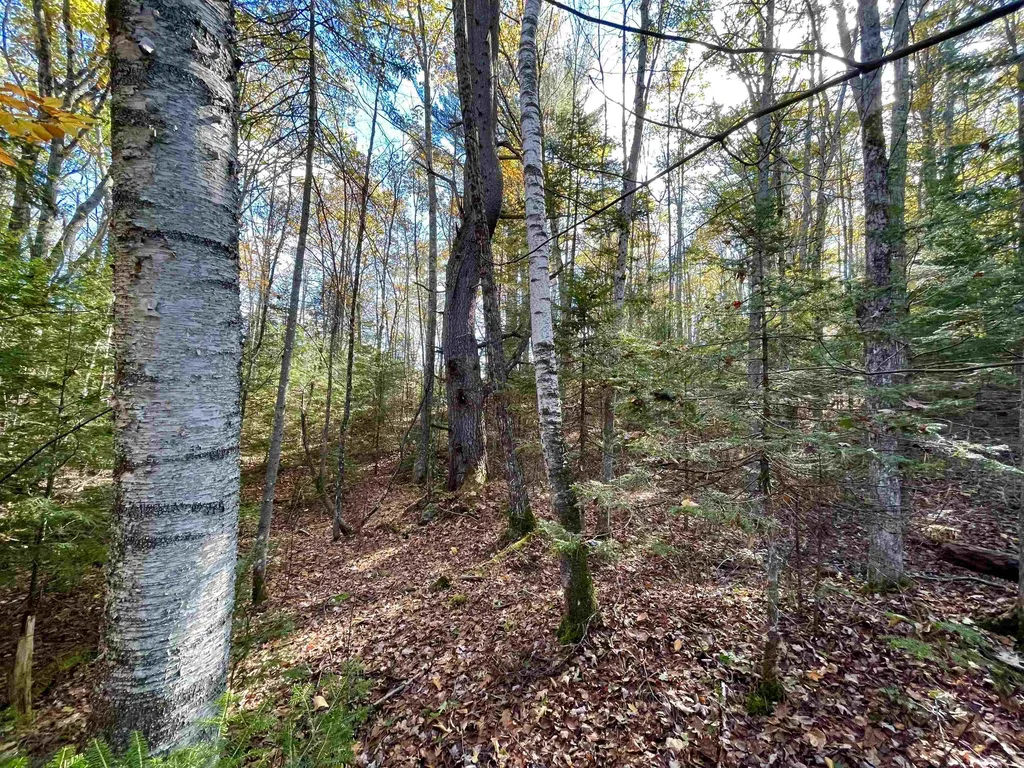 0 Hanover Drive Haverhill NH 03785