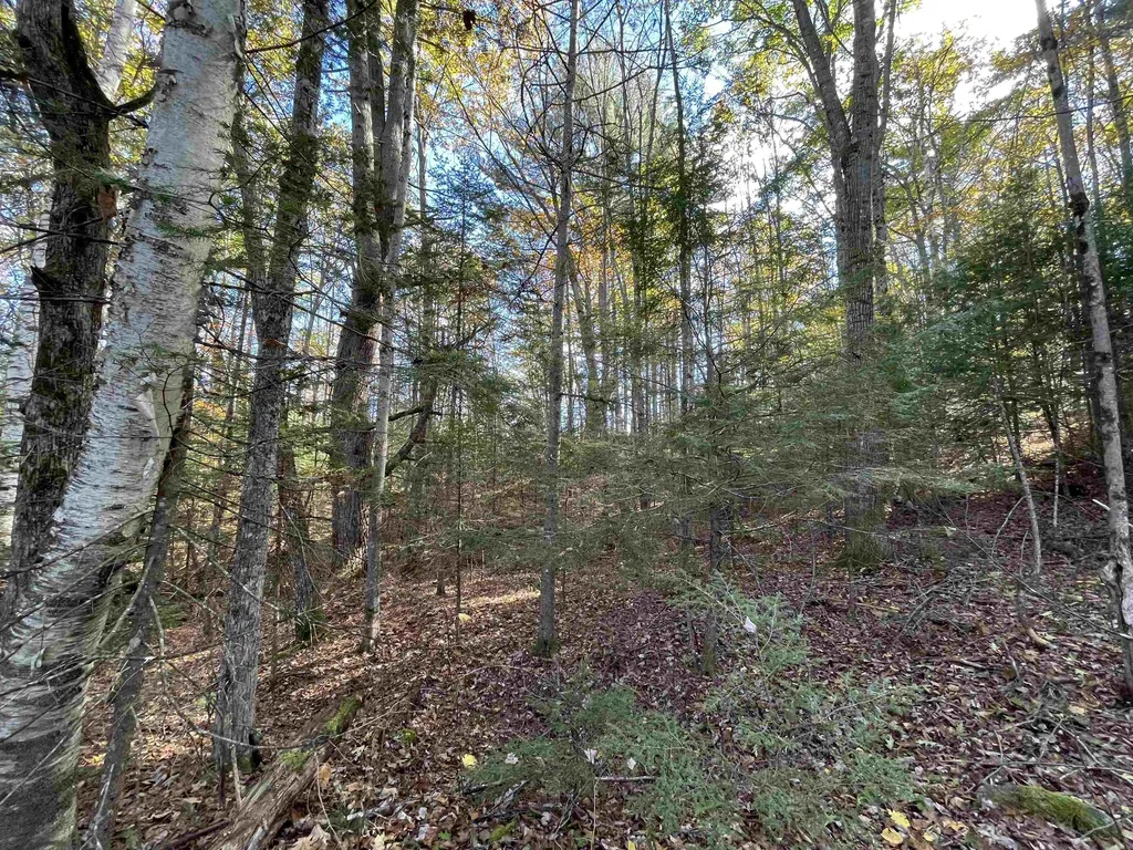 0 Hanover Drive Haverhill NH 03785