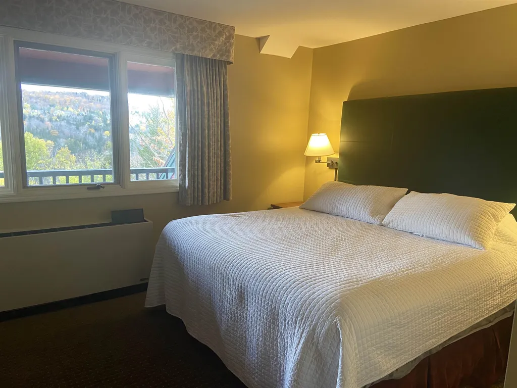 308 Qt 4, 89 Grand Summit Way Dover VT 05356