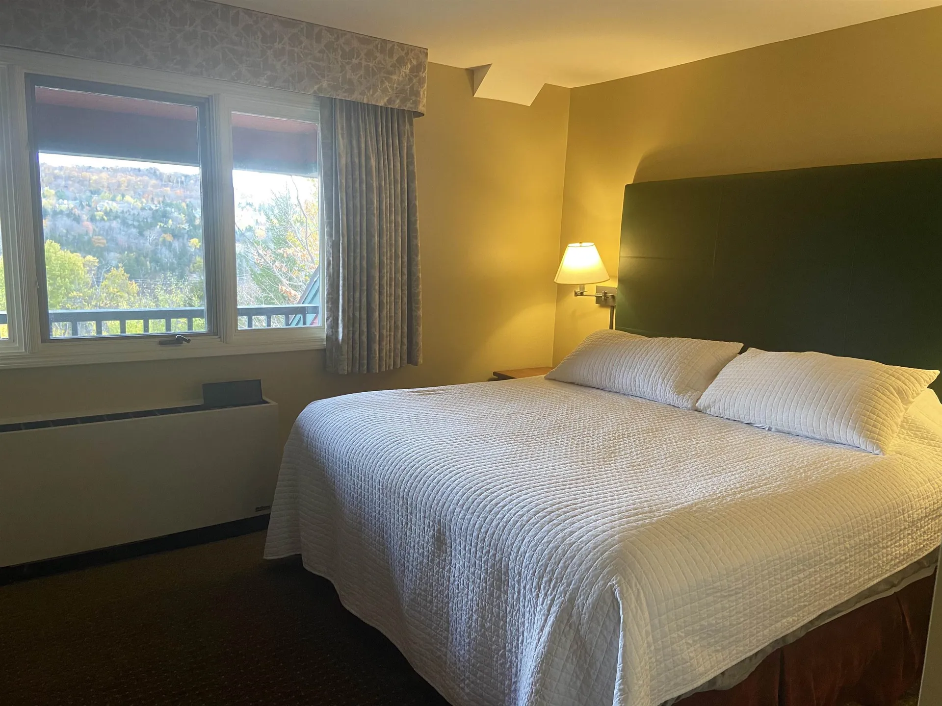 308 Qt 4, 89 Grand Summit Way Dover VT 05356