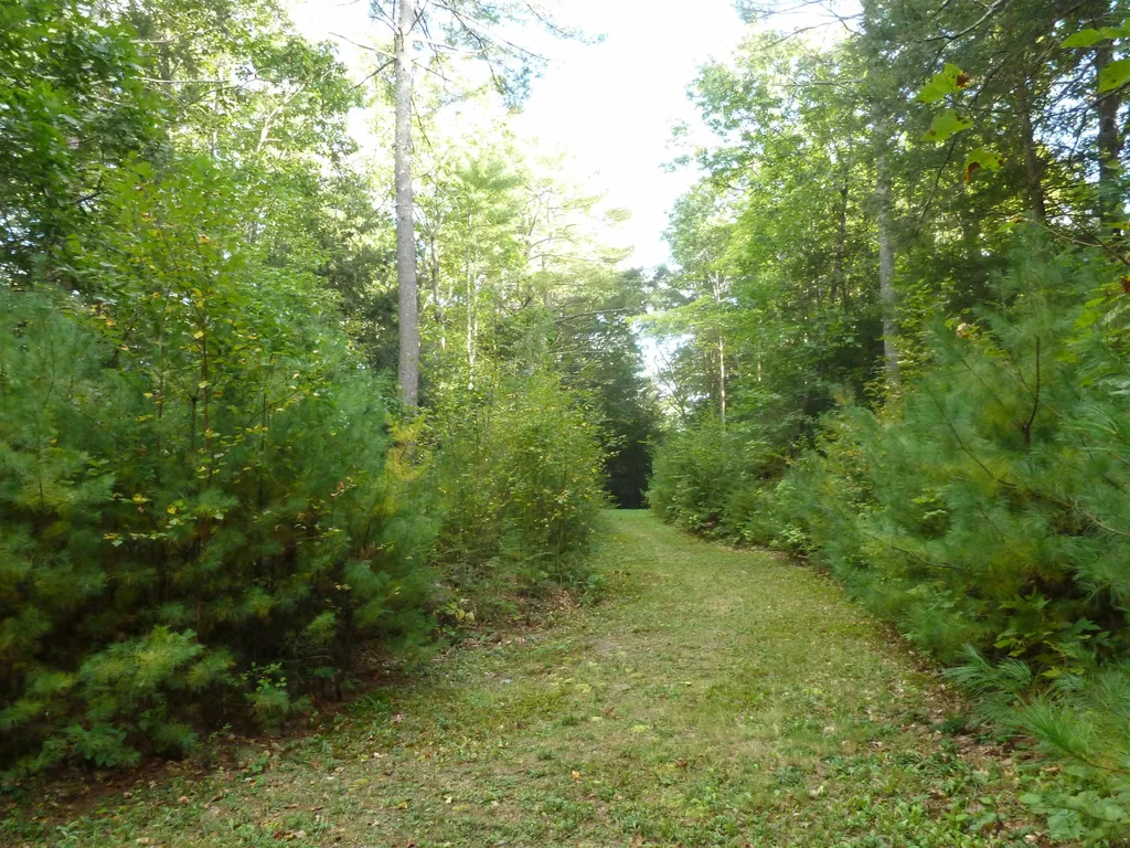 105 Harriman Hill Road Raymond NH 03077