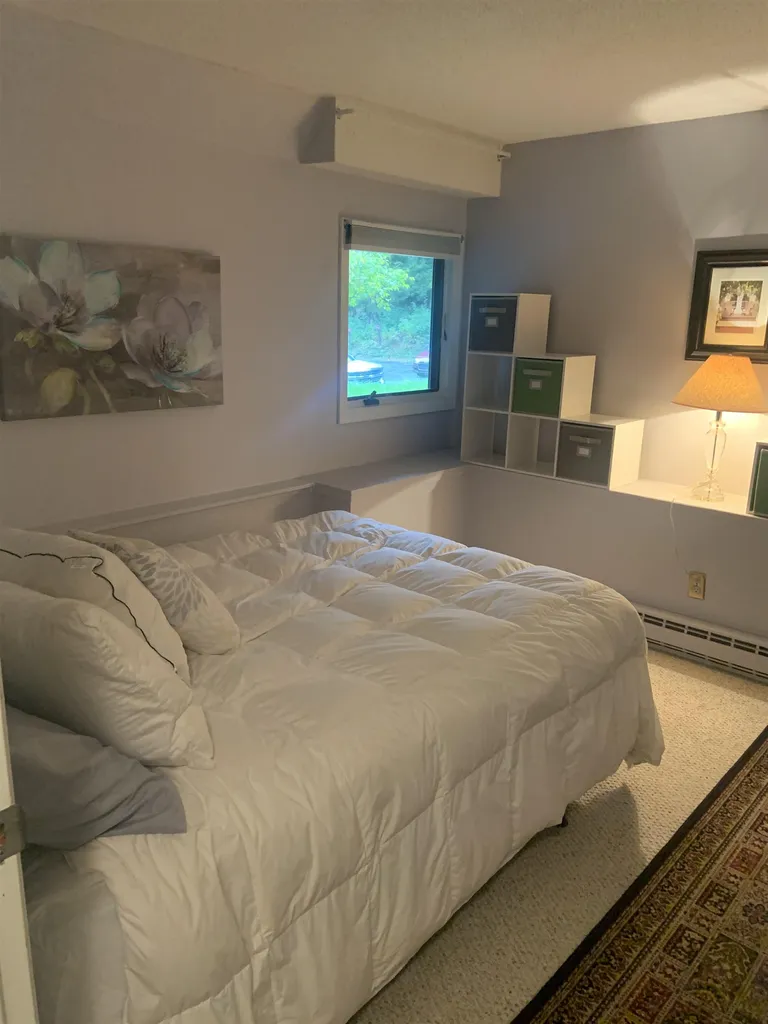 105 Williams Lane Hartford VT 05059