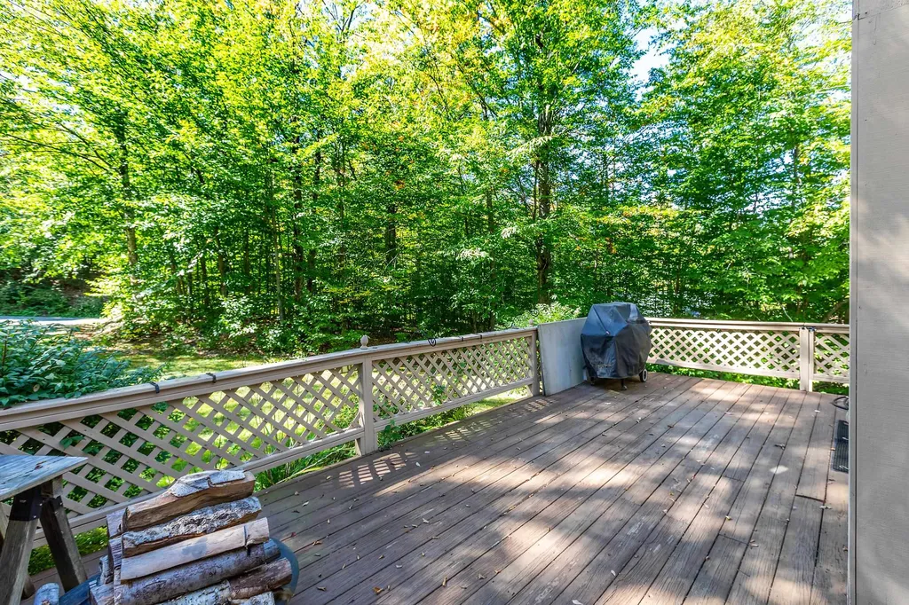 101 Barbara Jane Drive Jamaica VT 05343