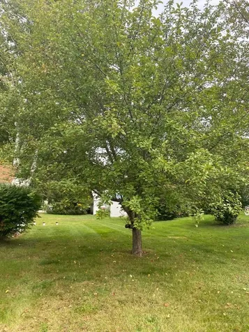 11 Dockside Lane Rochester NH 03867