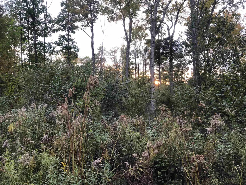 21 Ladieu Road Plainfield NH 03781