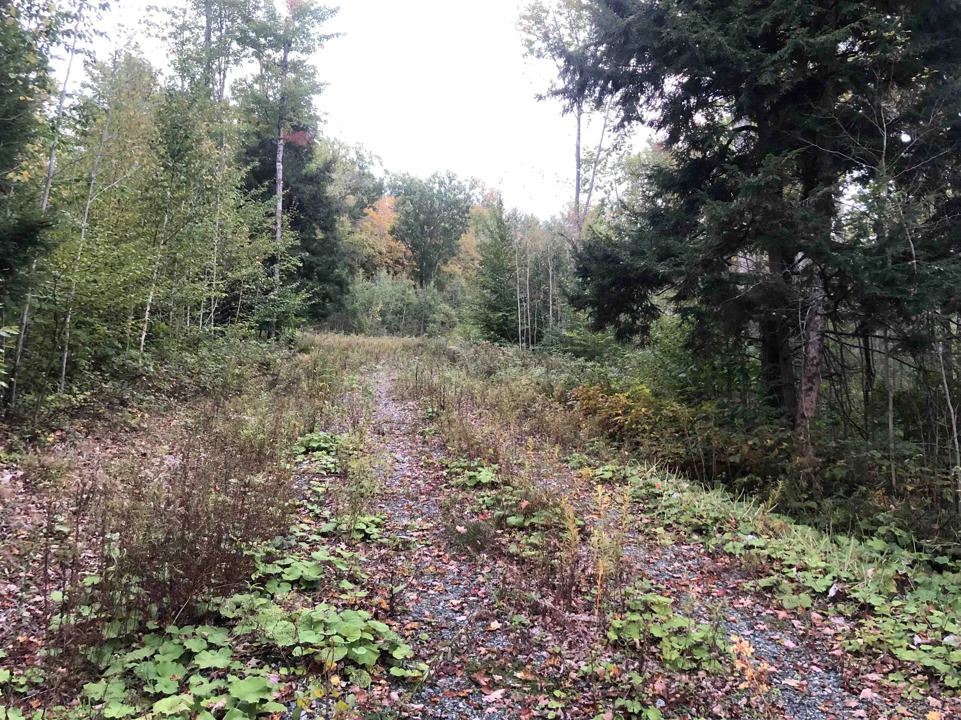 21 Ladieu Road Plainfield NH 03781