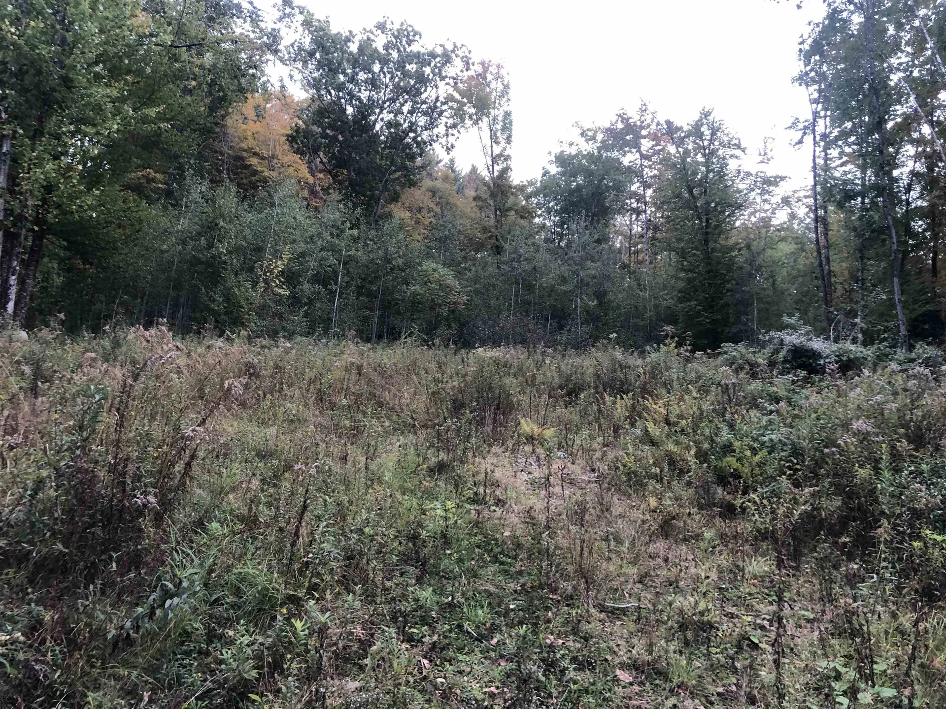 21 Ladieu Road Plainfield NH 03781