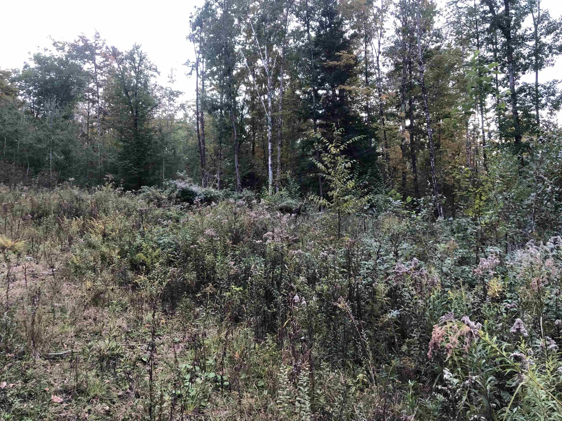21 Ladieu Road Plainfield NH 03781