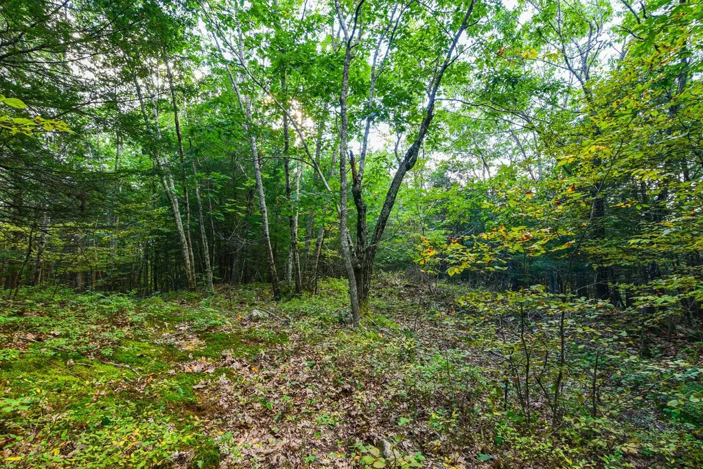302 Newmarket Road Durham NH 03824