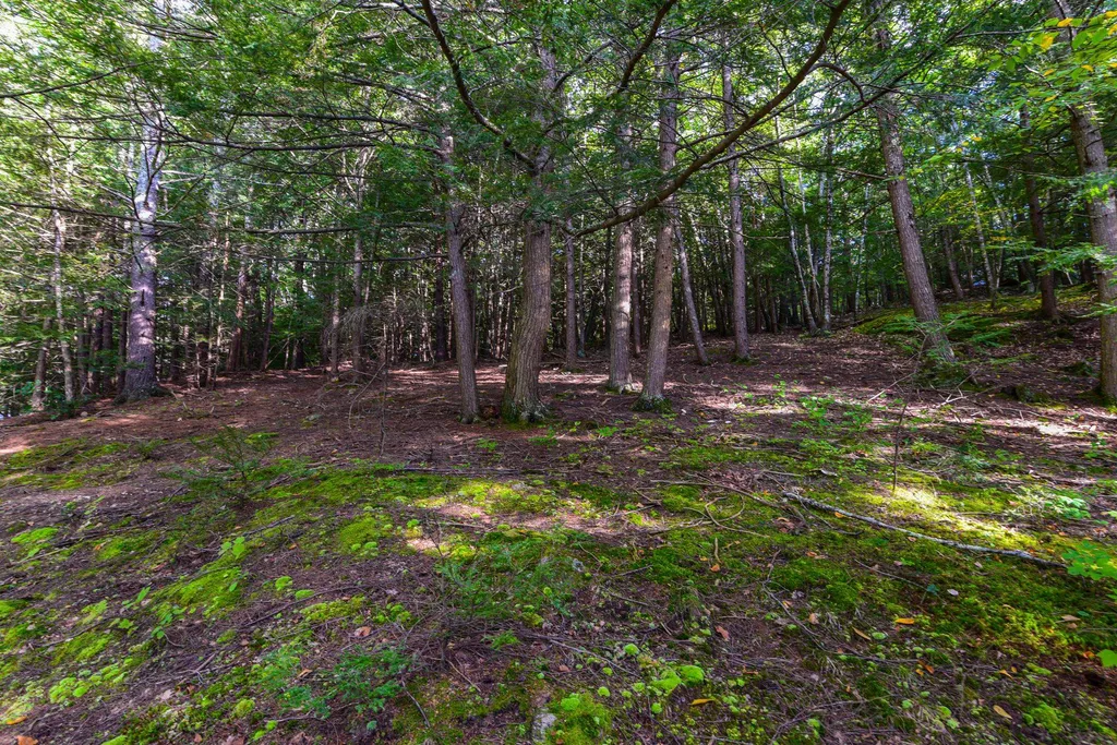 302 Newmarket Road Durham NH 03824