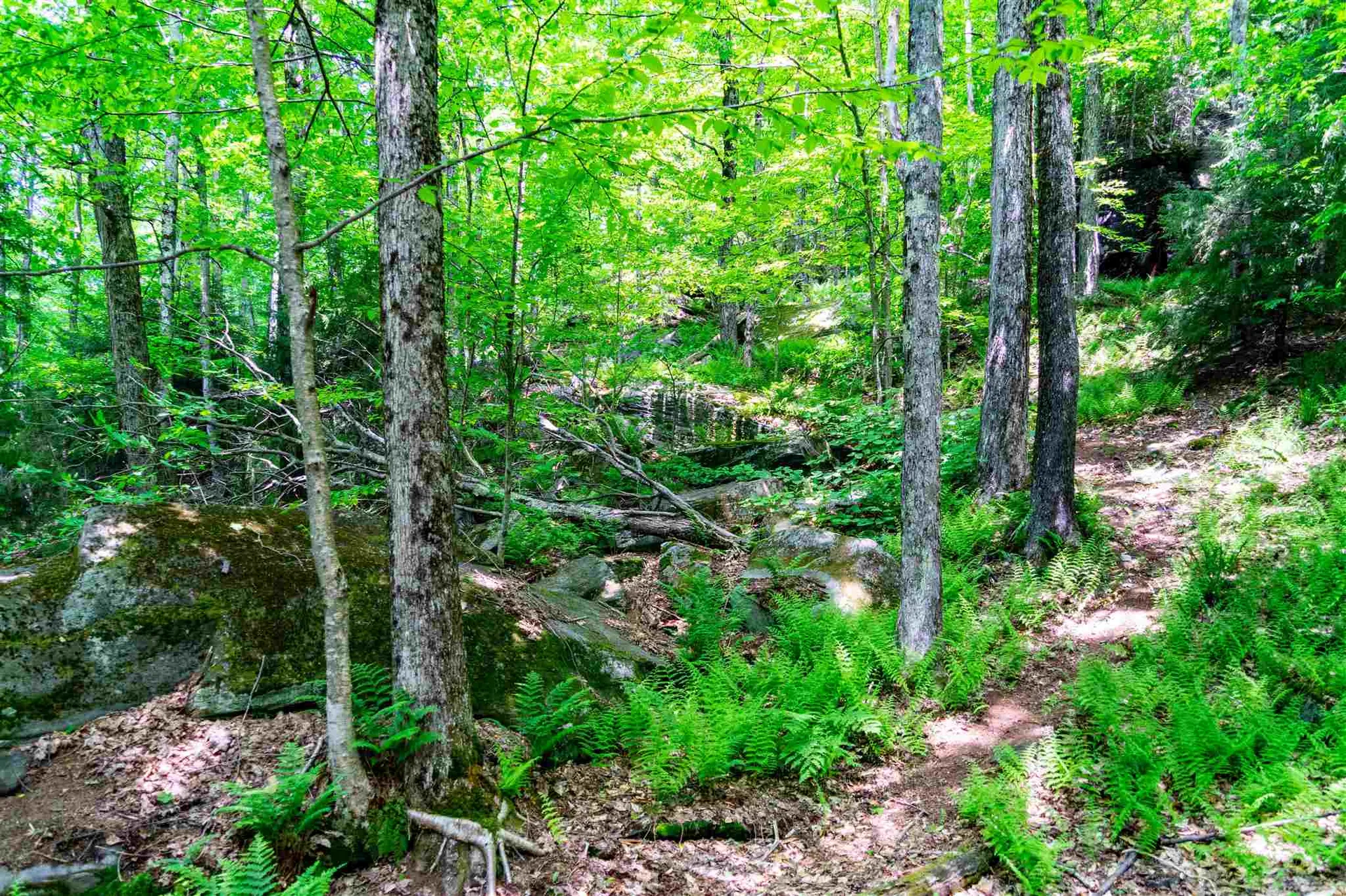 0 Sweeney Lane Cambridge VT 05464