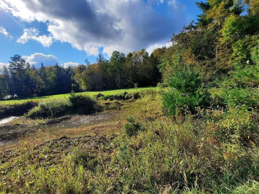 191 Strafford Road Tunbridge VT 05077
