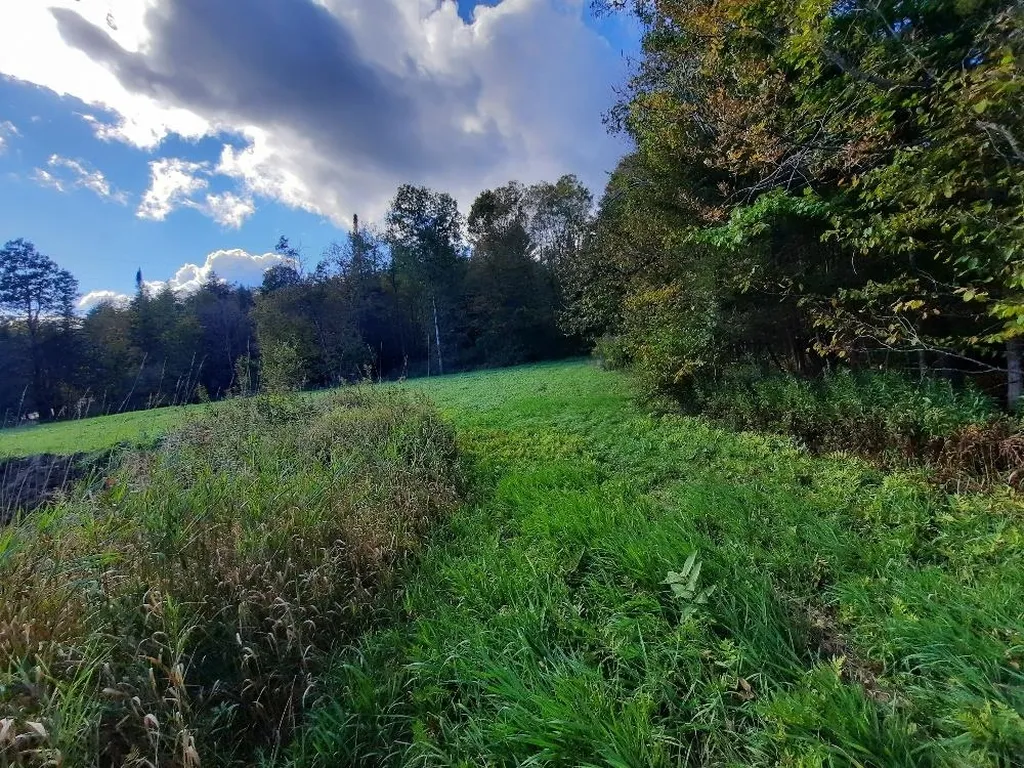 191 Strafford Road Tunbridge VT 05077