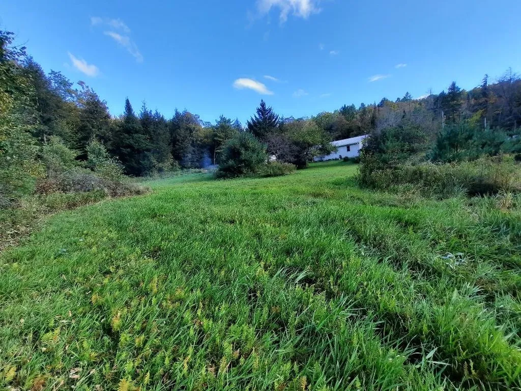 191 Strafford Road Tunbridge VT 05077