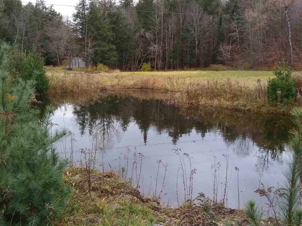 191 Strafford Road Tunbridge VT 05077