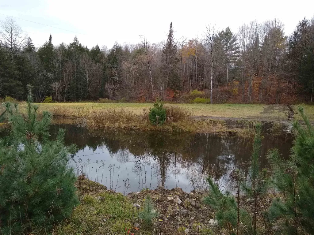 191 Strafford Road Tunbridge VT 05077