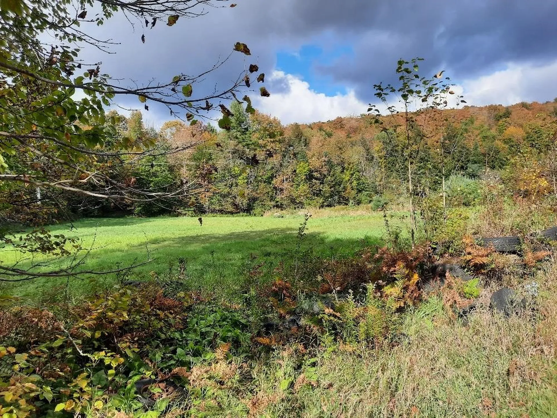 191 Strafford Road Tunbridge VT 05077
