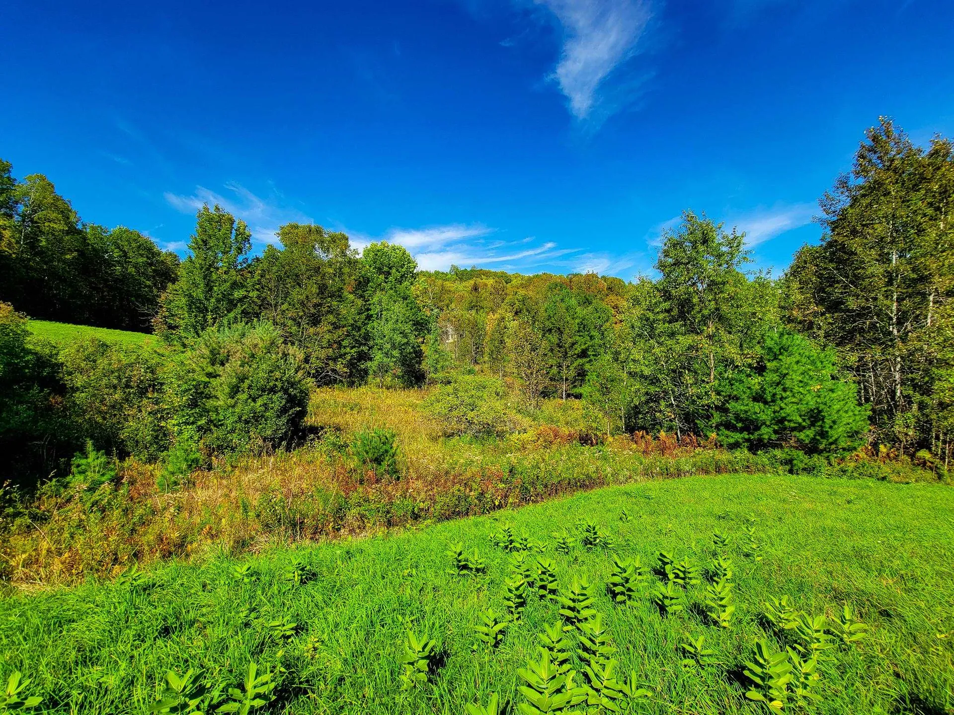 121 Colby Road Topsham VT 05086