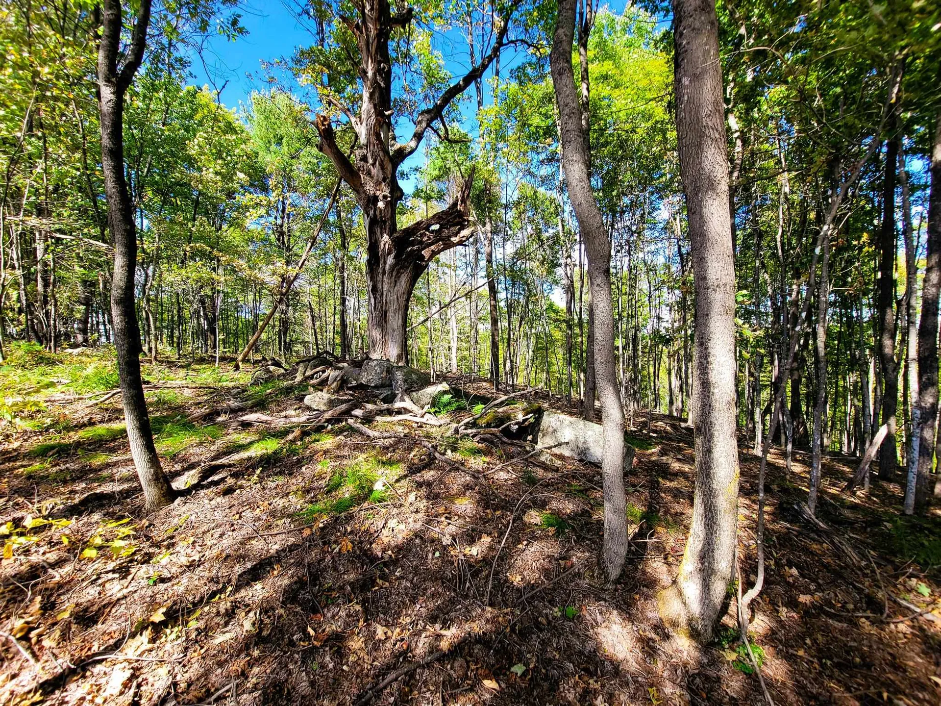 121 Colby Road Topsham VT 05086