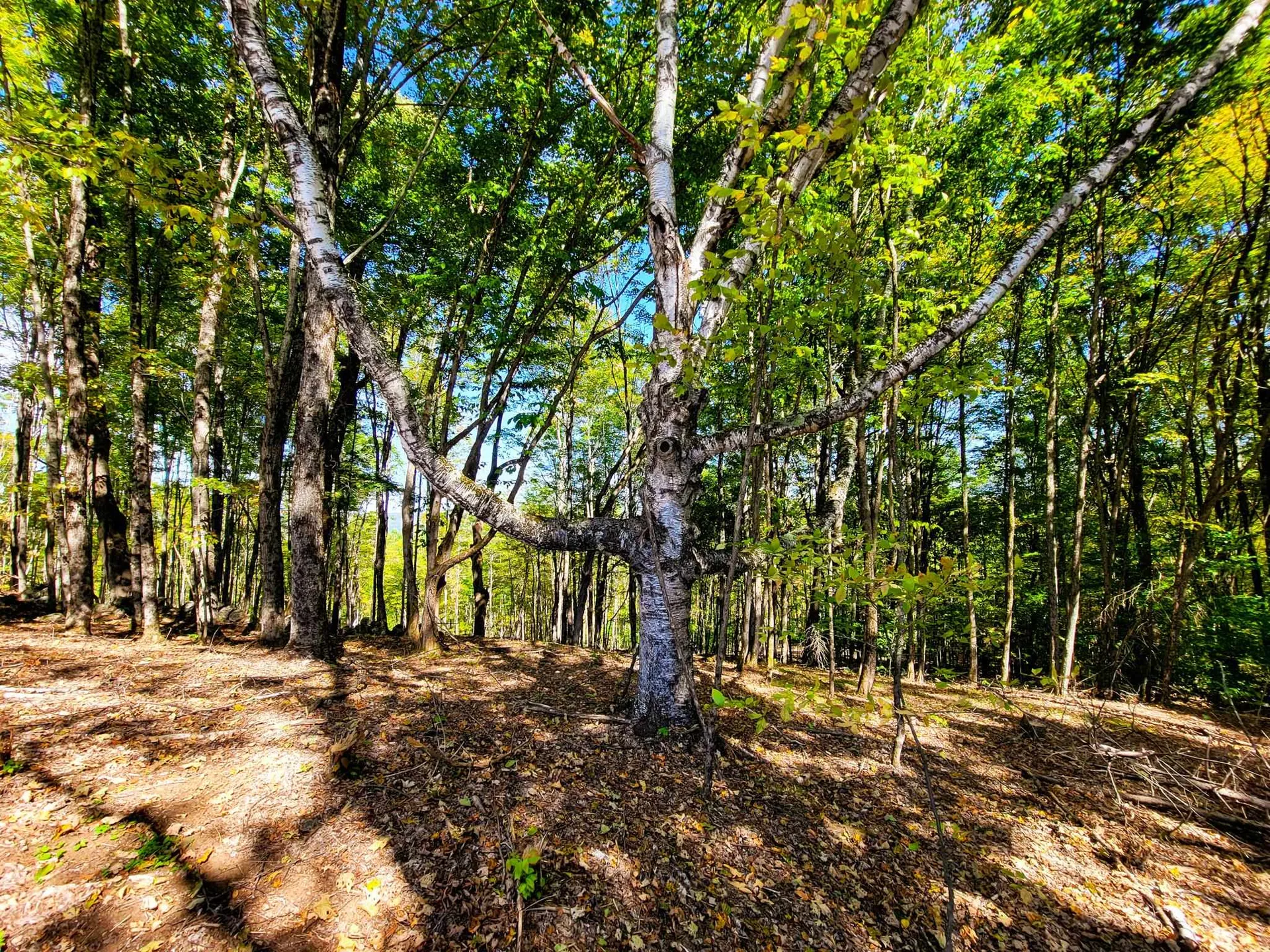 121 Colby Road Topsham VT 05086