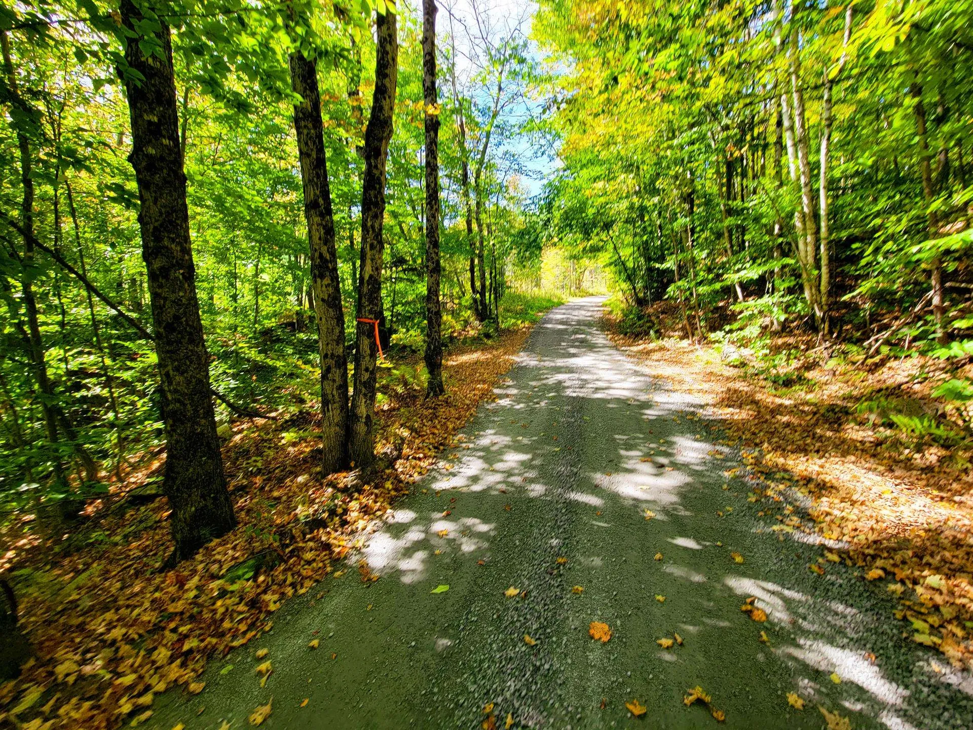 121 Colby Road Topsham VT 05086