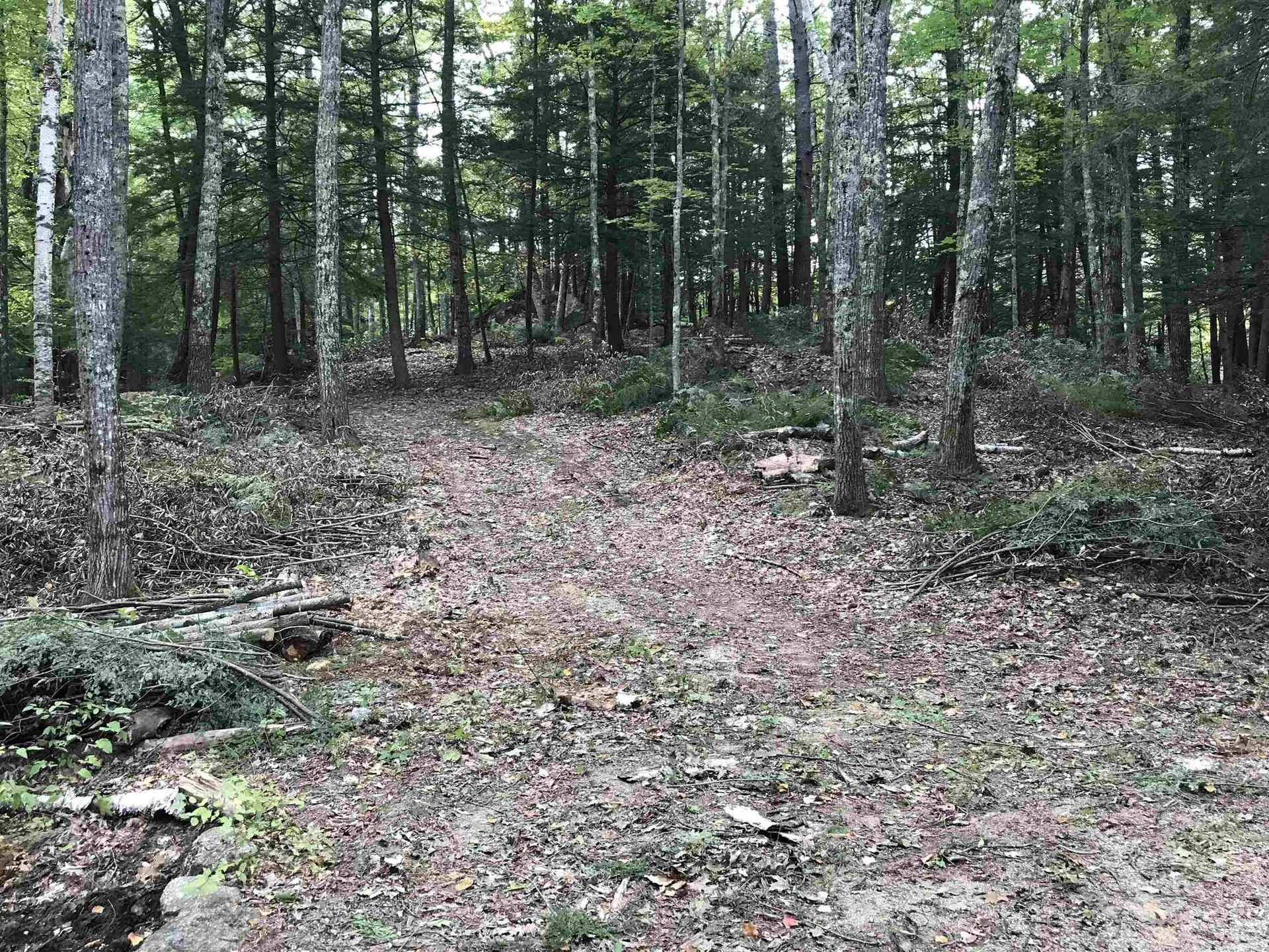 00 Middle Road Hancock NH 03449