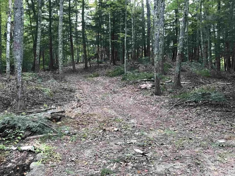 00 Middle Road Hancock NH 03449