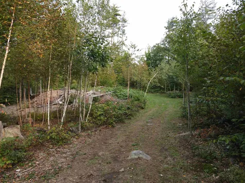 786 E Deering Road Deering NH 03244