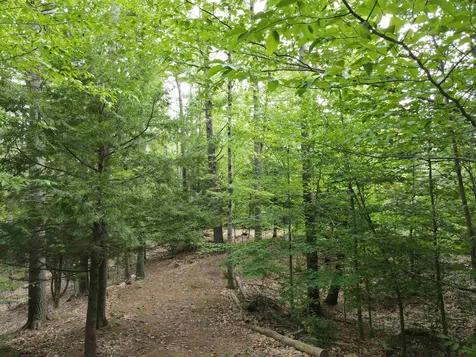 786 E Deering Road Deering NH 03244