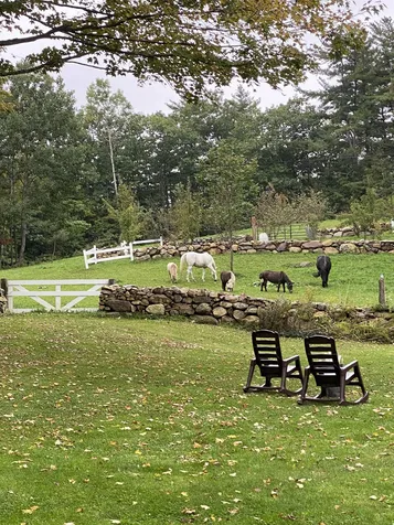 786 E Deering Road Deering NH 03244