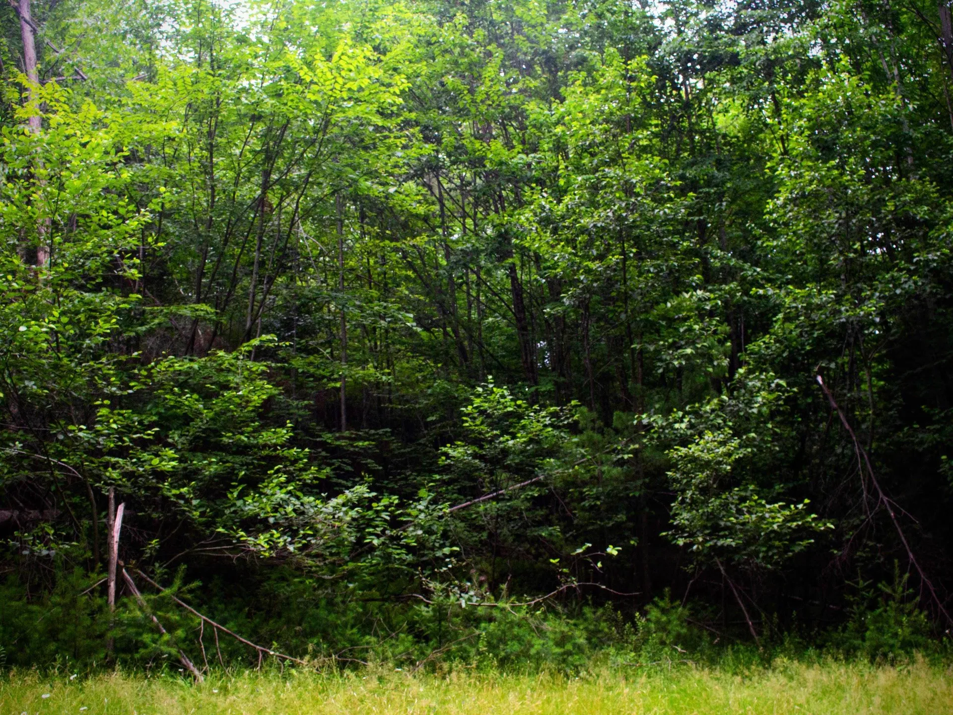 0 Conway Lane Haverhill NH 03785