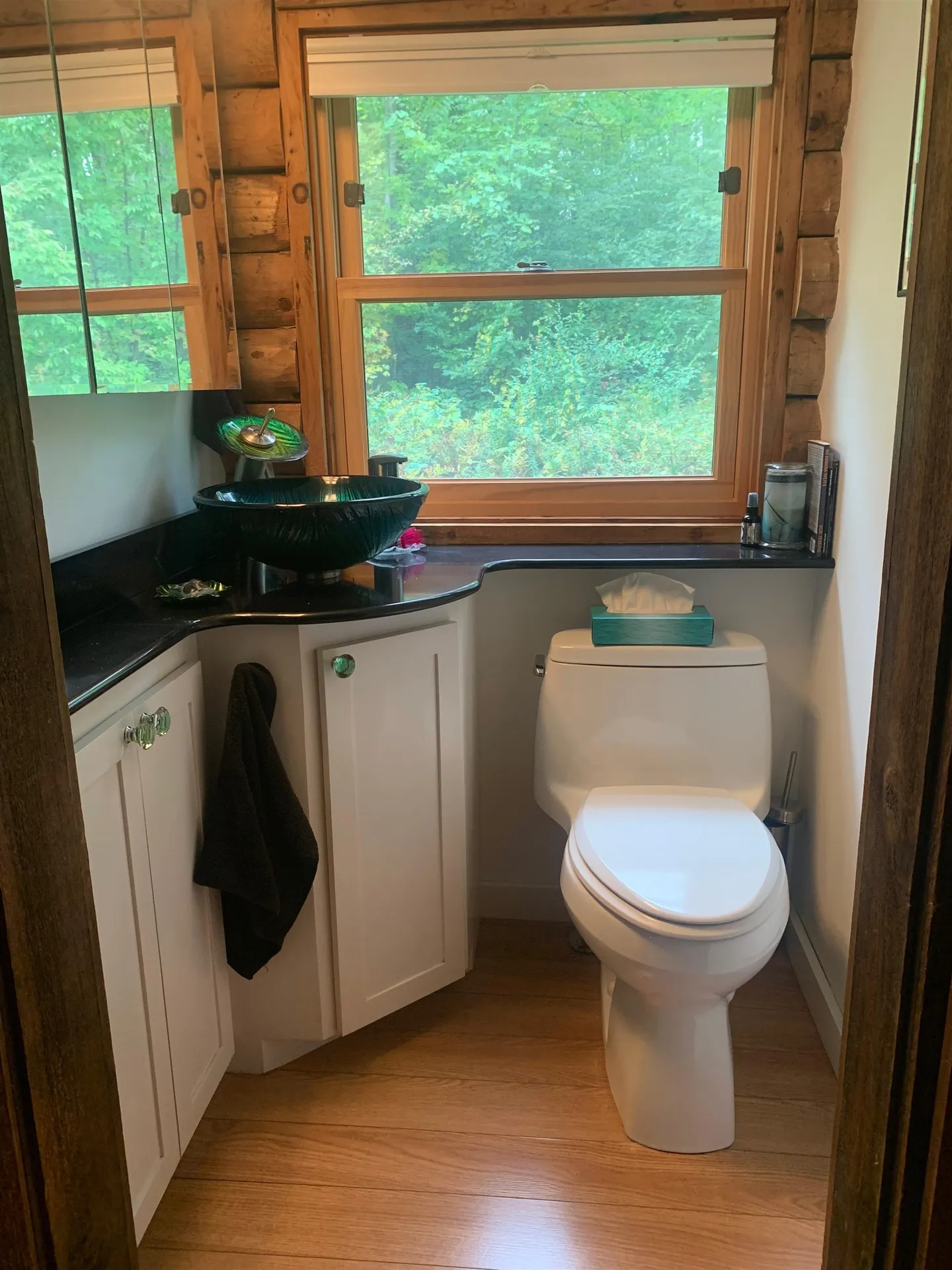 42 Hemlock Drive Bristol VT 05443