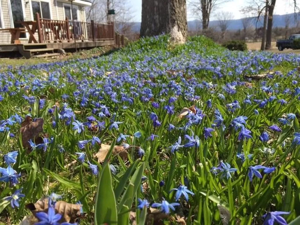 262 River Road New Haven VT 05472