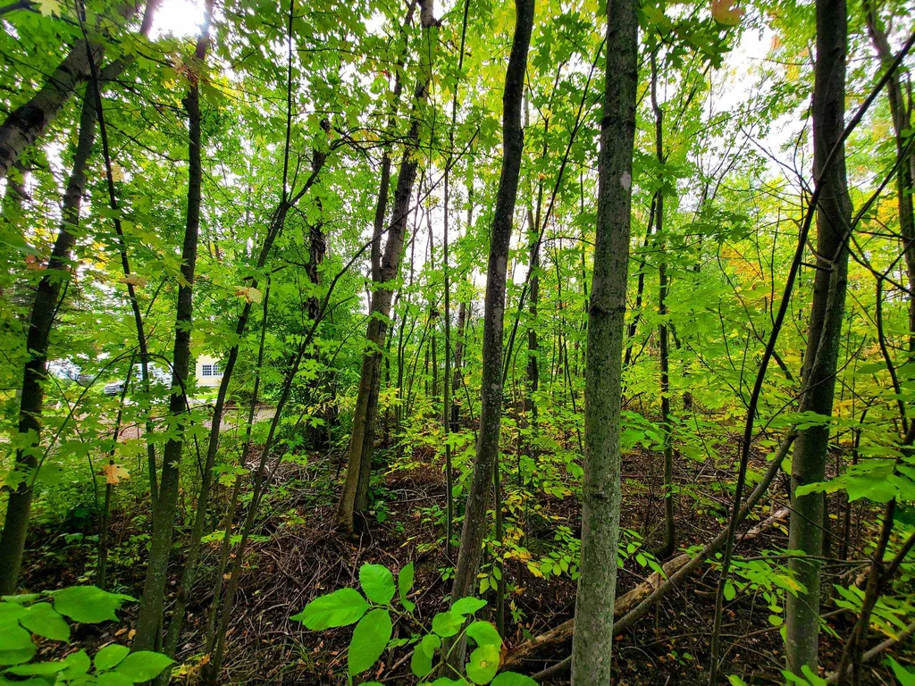 5 Lightning Road Grand Isle VT 05458