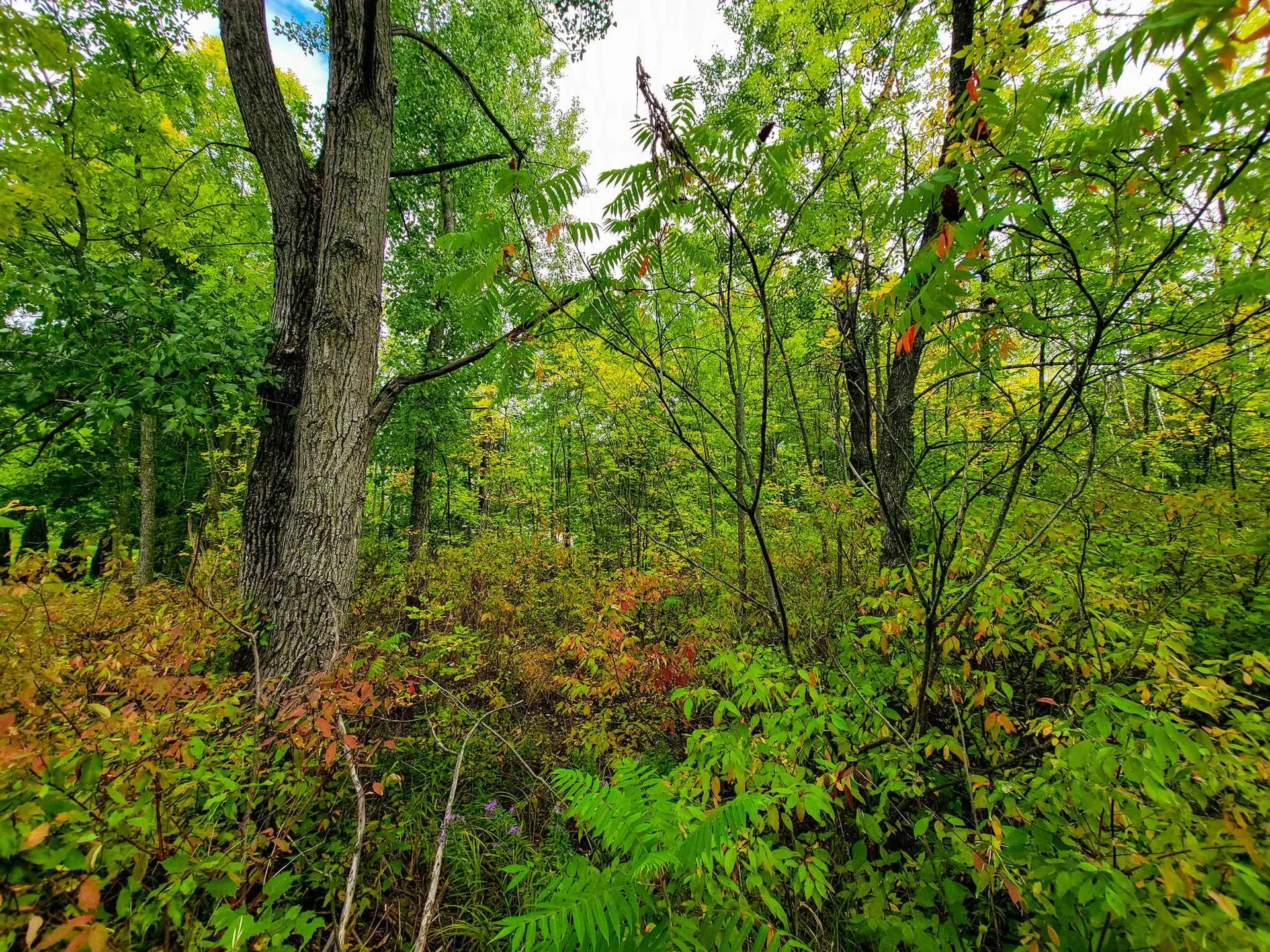 5 Lightning Road Grand Isle VT 05458